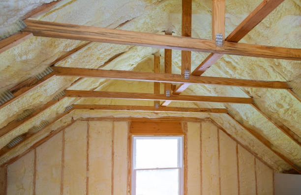 Best Types of Insulation in Sylvester, GA