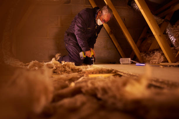 Best Residential Insulation in Sylvester, GA